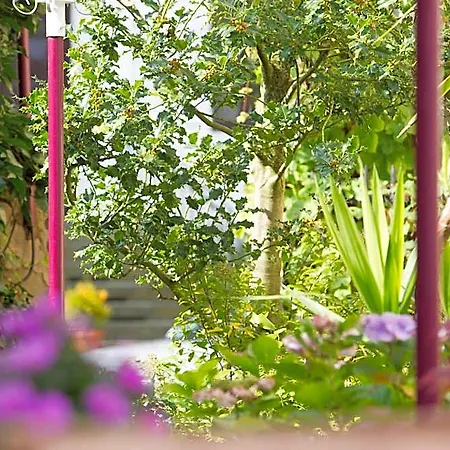 Hotel Ambiente Bückeburg